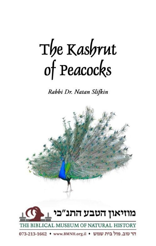 Peacock Kashrut By Rabbi Dr Natan Slifkin