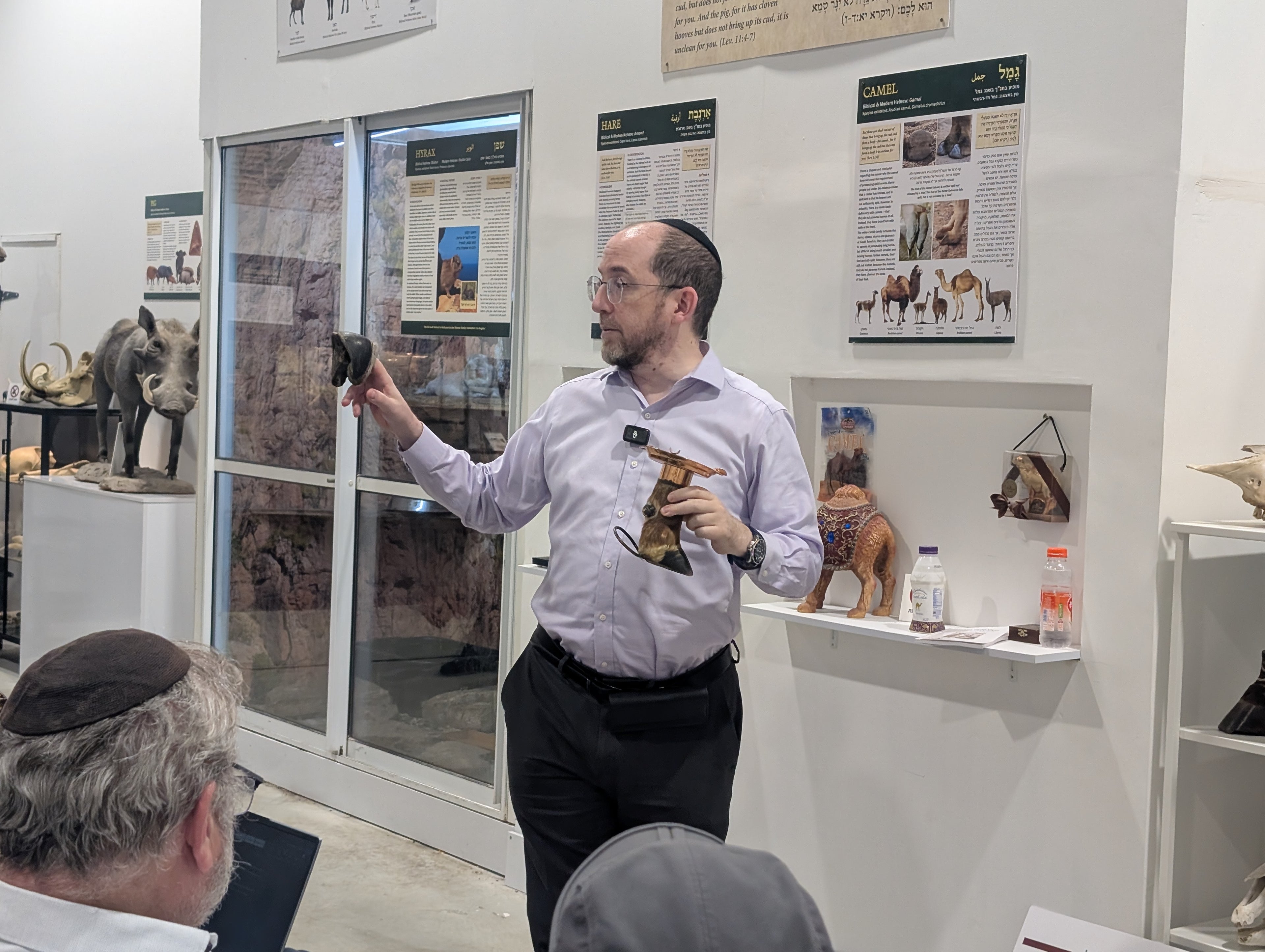 Presentation: The Signs of Kosher Creatures