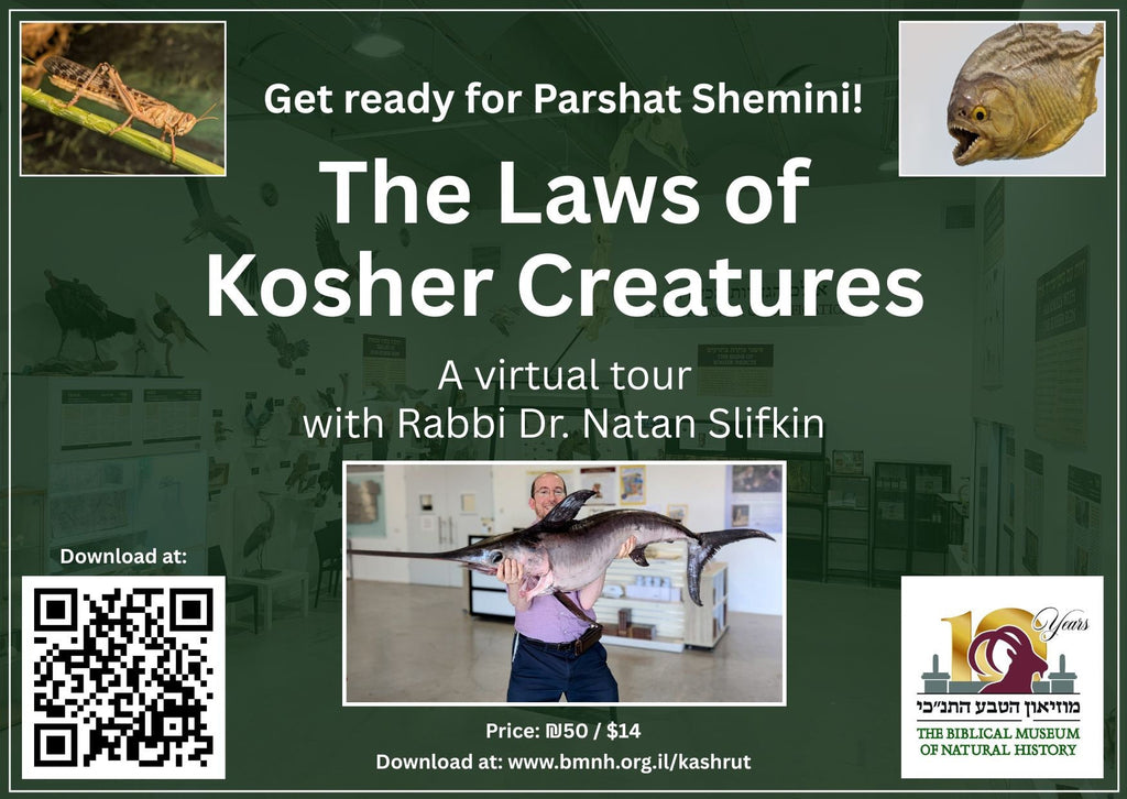 Virtual Tour: The Laws of Kosher Creatures