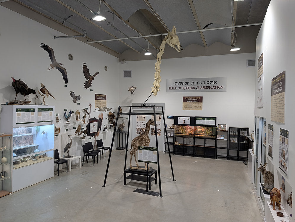 Virtual Tour: The Laws of Kosher Creatures